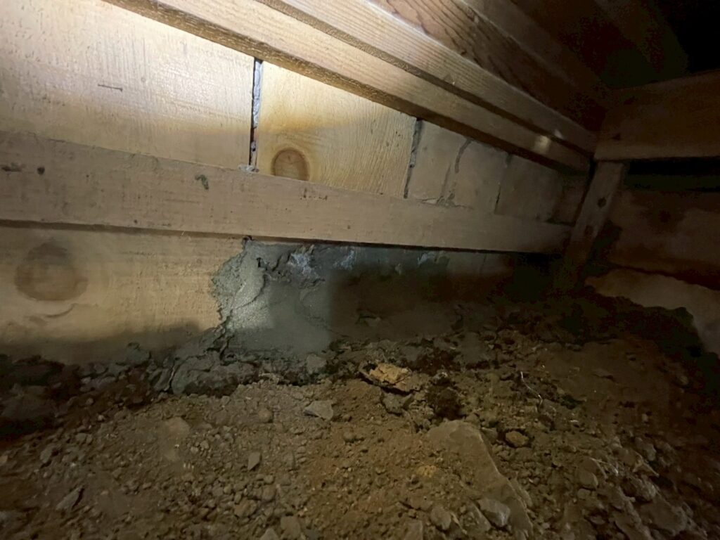 画像に alt 属性が指定されていません。ファイル名: LINE_ALBUM_%E5%A4%A7%E7%94%B0%E5%8C%BA%E5%B9%B3%E7%94%B0%E9%82%B8%E3%83%8D%E3%82%BA%E3%83%9F_251220_22-1024x768.jpg